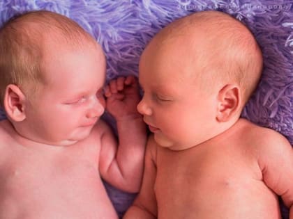 В Череповце выберут лучшие фото близнецов, двойняшек и тройняшек
