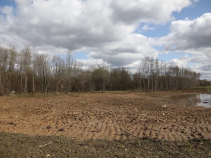 Под Череповцом планируют создать еще один индустриальный парк