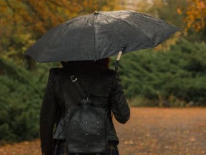 Октябрь на Вологодчине отыграется дождями за сухой сентябрь