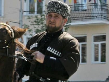 У Рамзана Кадырова украли английского жеребца стоимостью 10 млн долларов