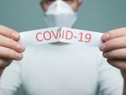 COVID-19 в Вологодской области: заболели 186 человек