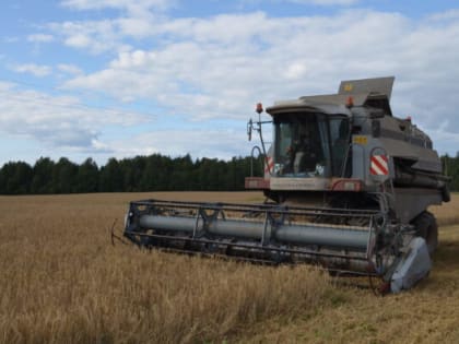 Полевые работы близятся к завершению