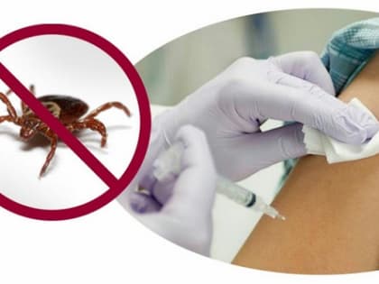 Ситуация с заболеваемостью клещевым вирусным энцефалитом