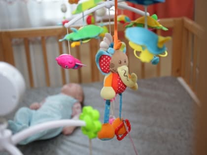 В Череповце создадут информационный онлайн-центр для многодетных