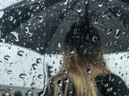 Вологжане будут рыдать, и ругать погоду: жара сменится ежедневными ливнями и похолоданием