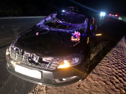 Под Череповцом водитель пострадал в аварии с лосем