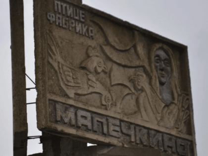 В ситуацию с массовым падежом кур под Череповцом вмешалась прокуратура