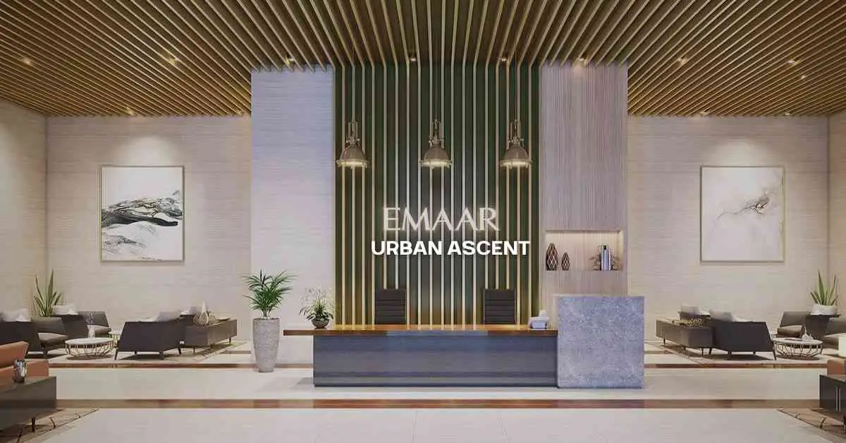 Modern reception area with wooden ceiling, green accent wall, and stylish furniture.