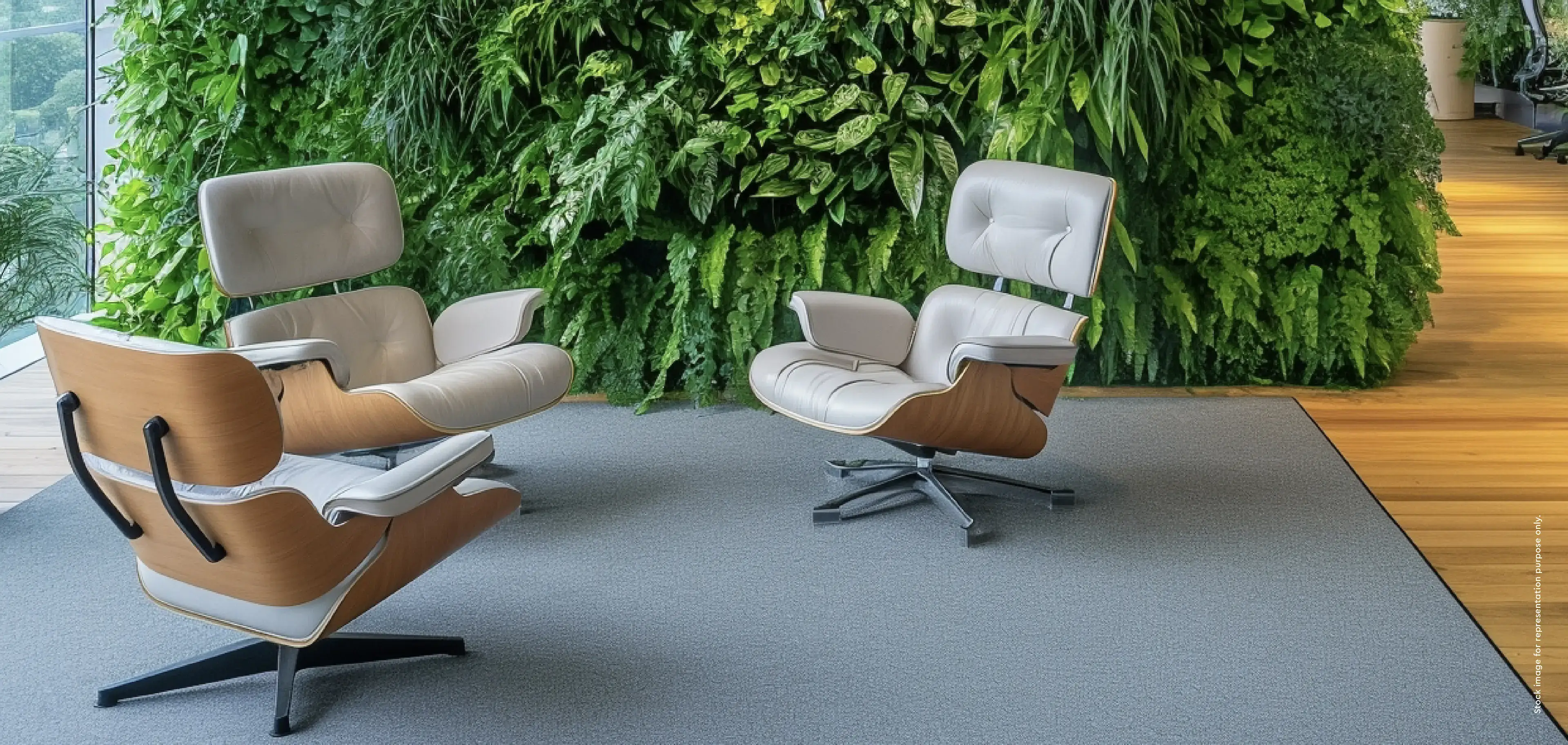 Two modern lounge chairs with wood and leather design in front of a green plant wall.