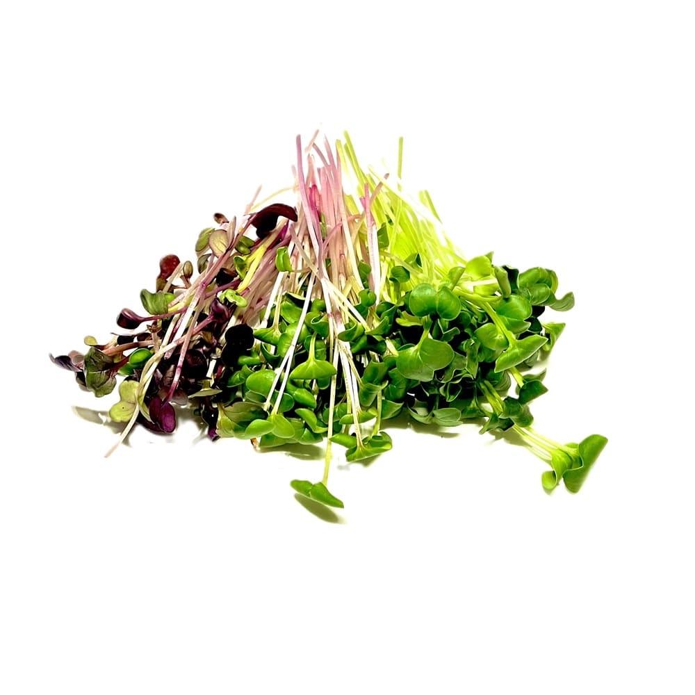 Only microgreens pittige mix microgroenten/cressen