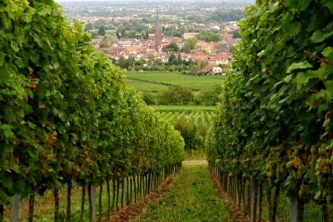 germany