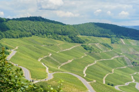 germany