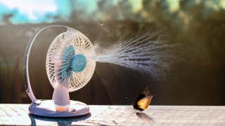 ventilateur brumisateur près d'un papillon en terrasse