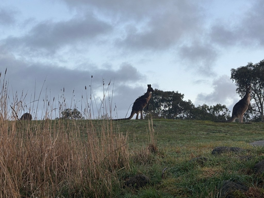 🇦🇺 Cold Mornings, New Gear, and an Unexpected Camp in Brunswick