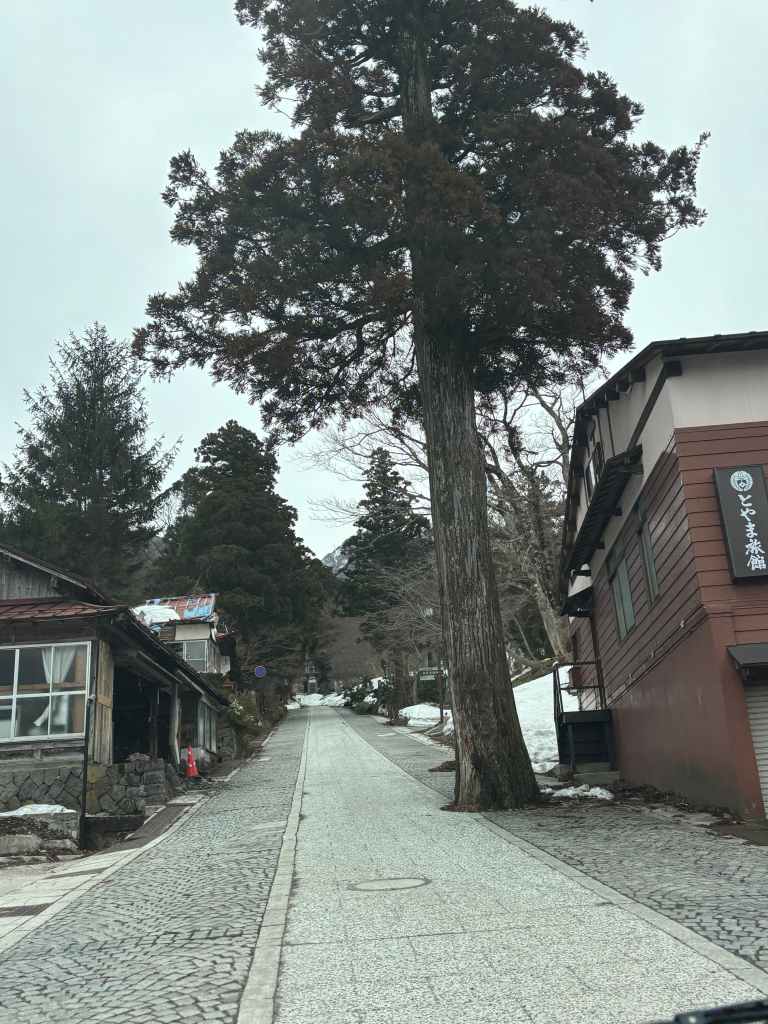 A Tottori Road Trip: Snowy Shrines, Conan Town, and Beef Bone Ramen