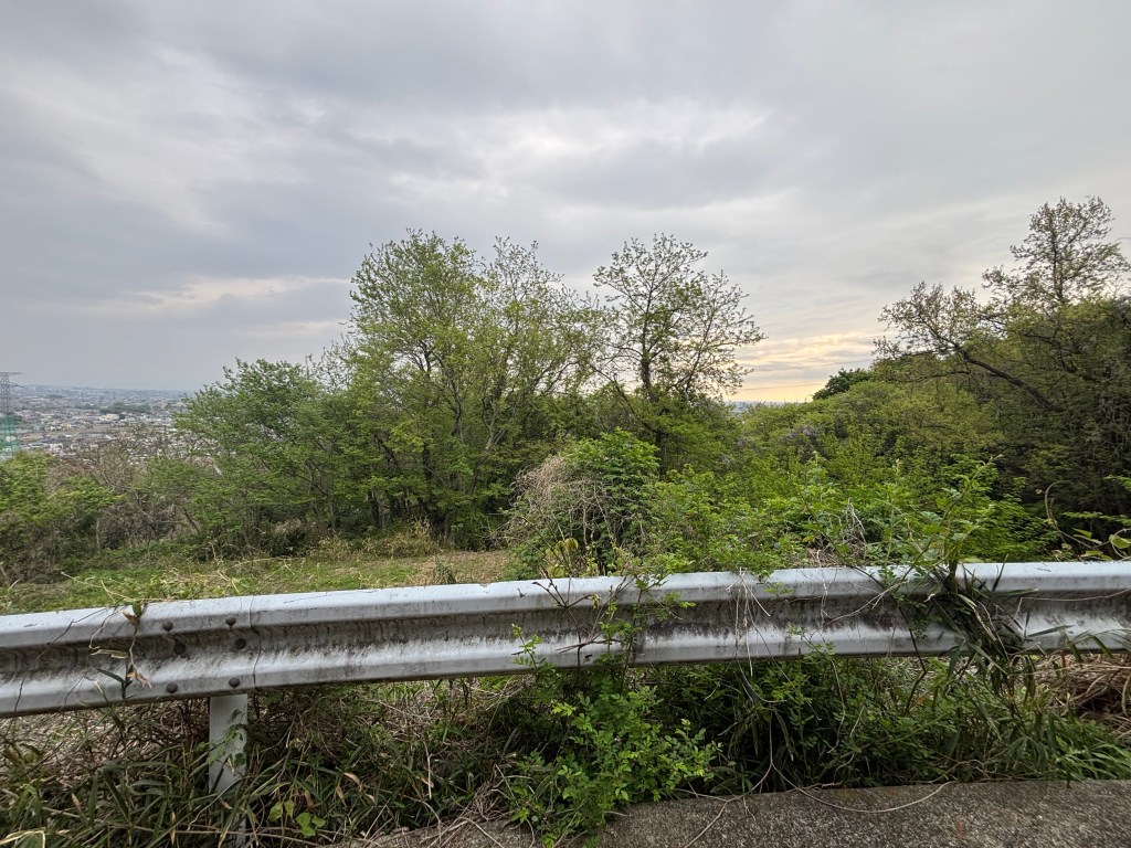 A view of a hillside with lush greenery, trees, and a cloudy sky, alongside a weathered guardrail.
