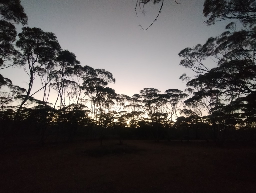 🇦🇺 Second Day on the Nullarbor: Encounters, Reunions, and the Road Ahead