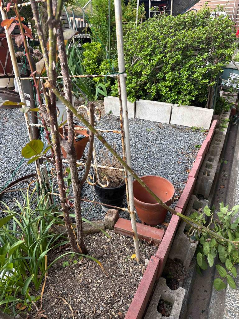 A garden scene showcasing a trellis with climbing plants, surrounded by potted plants and a gravel base.