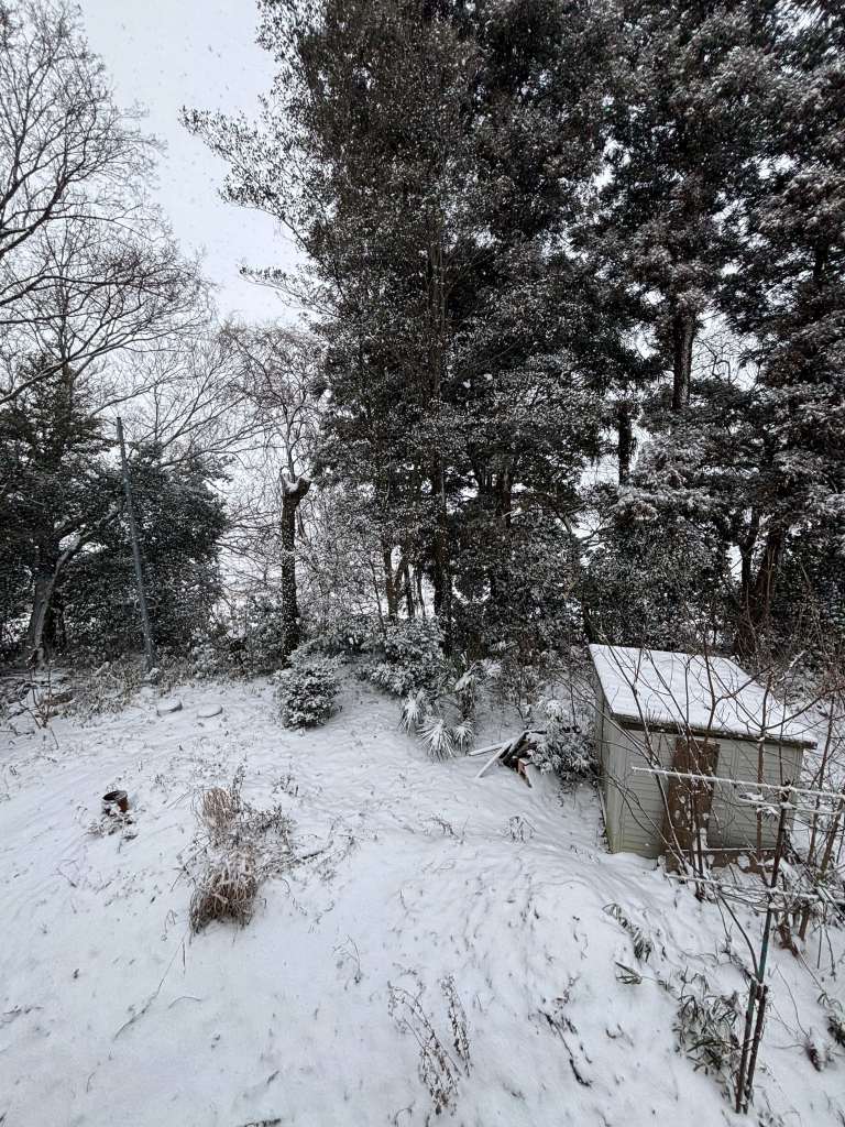 A Snowy Homecoming: 10-Year Reunions and the Taste of My Father's Cooking