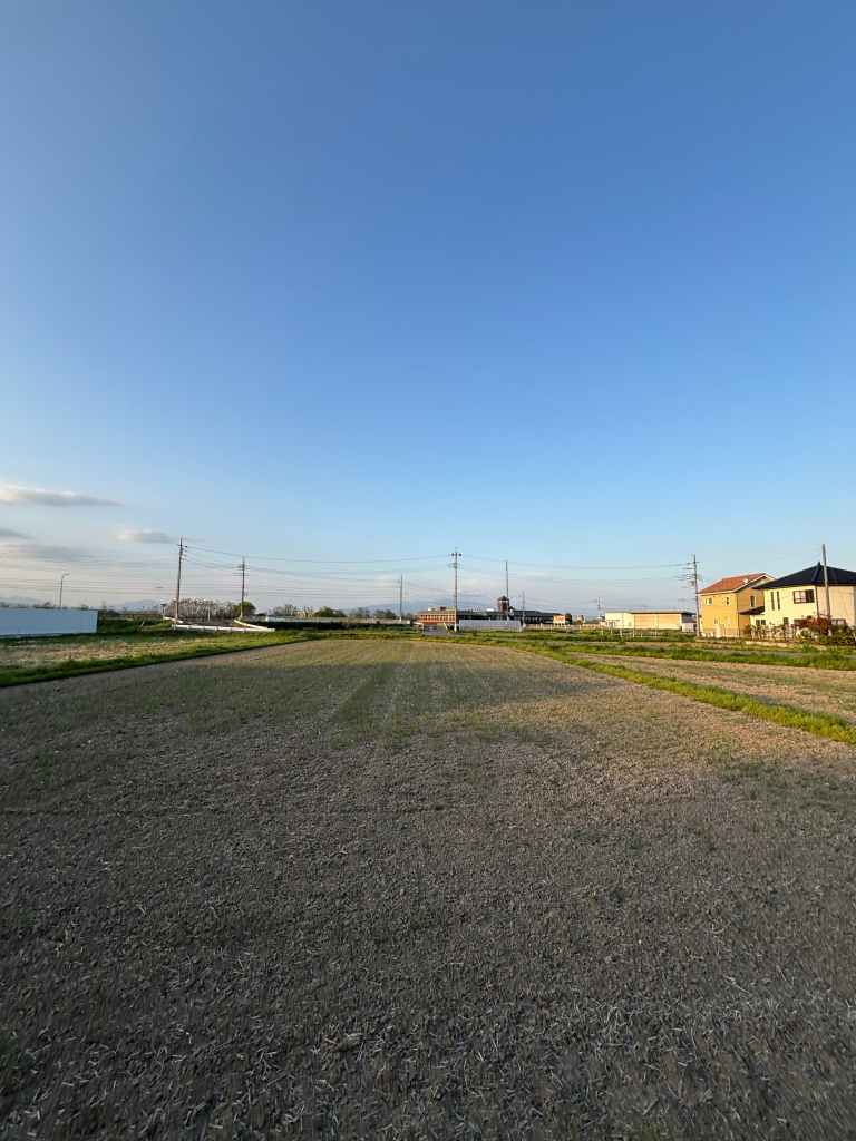 A wide view of an empty field under a clear blue sky, with a few buildings and power lines in the background.