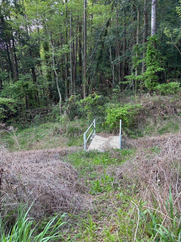 A path leading to a small concrete bridge surrounded by lush green vegetation and trees in a forested area.