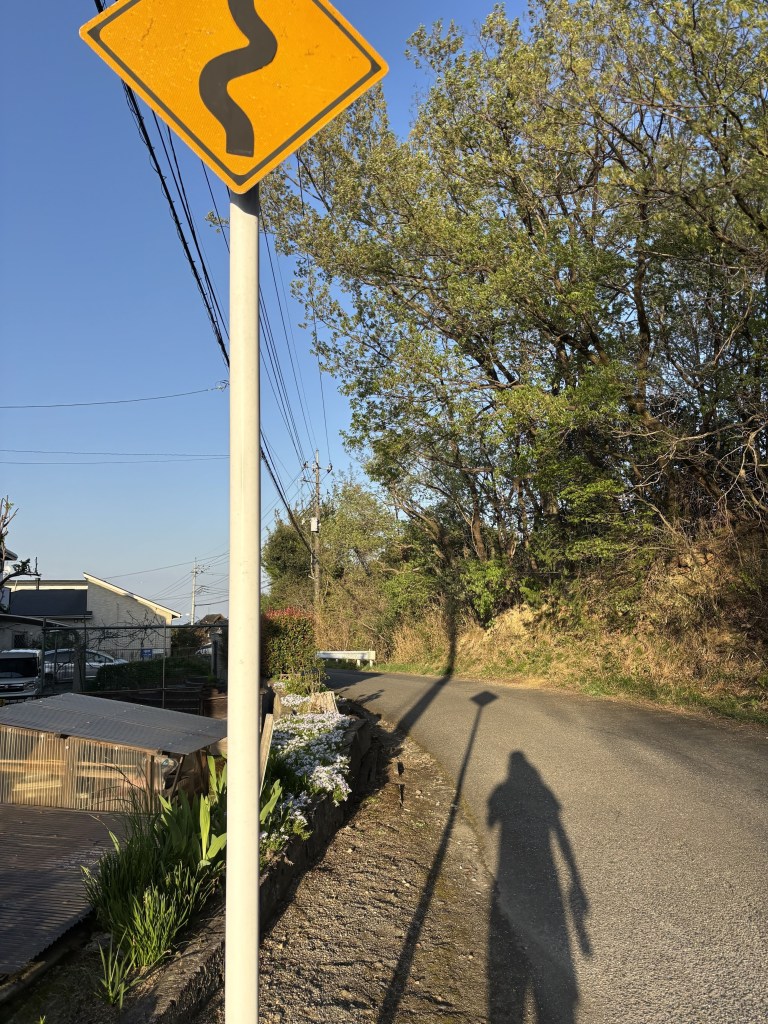 A winding road sign with a shadow cast on the ground, surrounded by greenery and a clear blue sky.