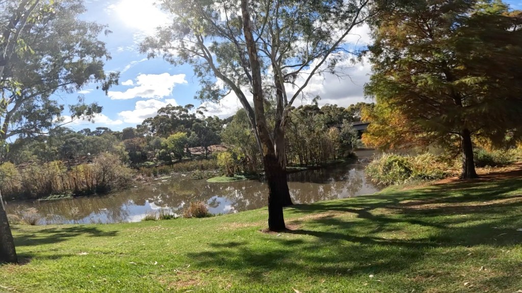 🇦🇺 Adelaide Day Three: Collecting Moments to Share with My Grandfather