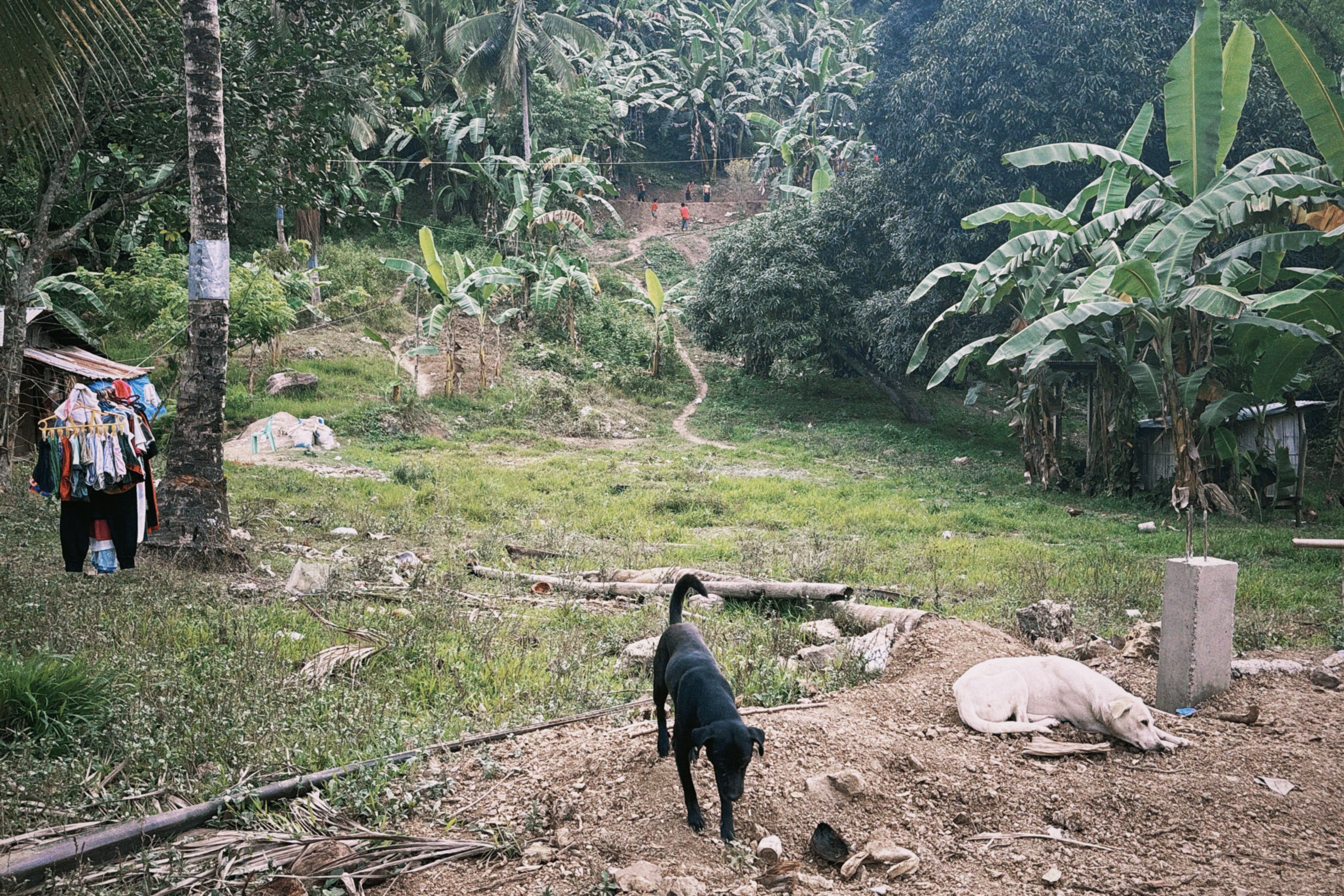 Arriving at the lush mountain jungle destination