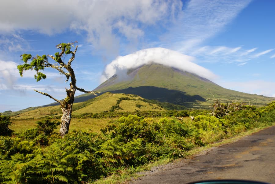 Pico Mountain and Atlantic nature