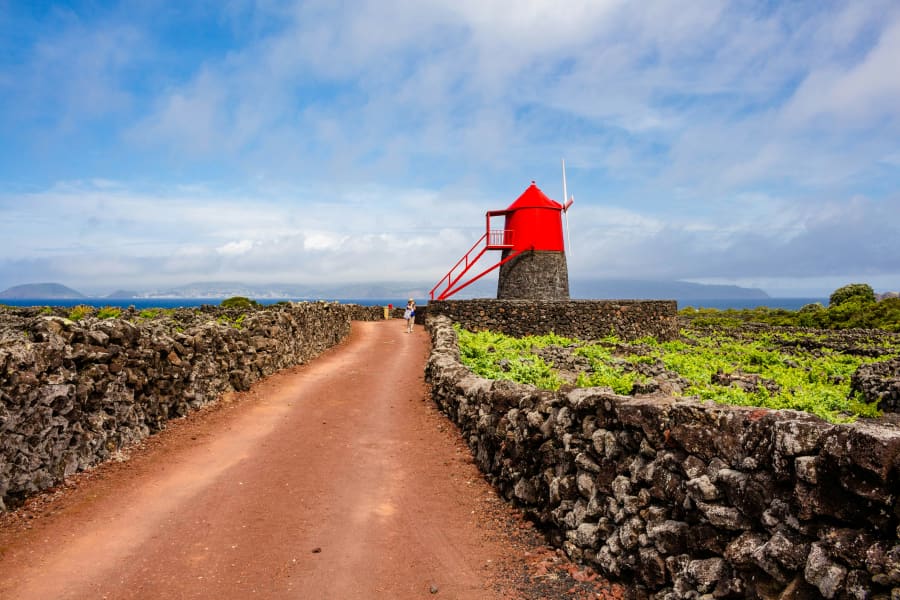 Vineyards, stone walls and volcanic rock