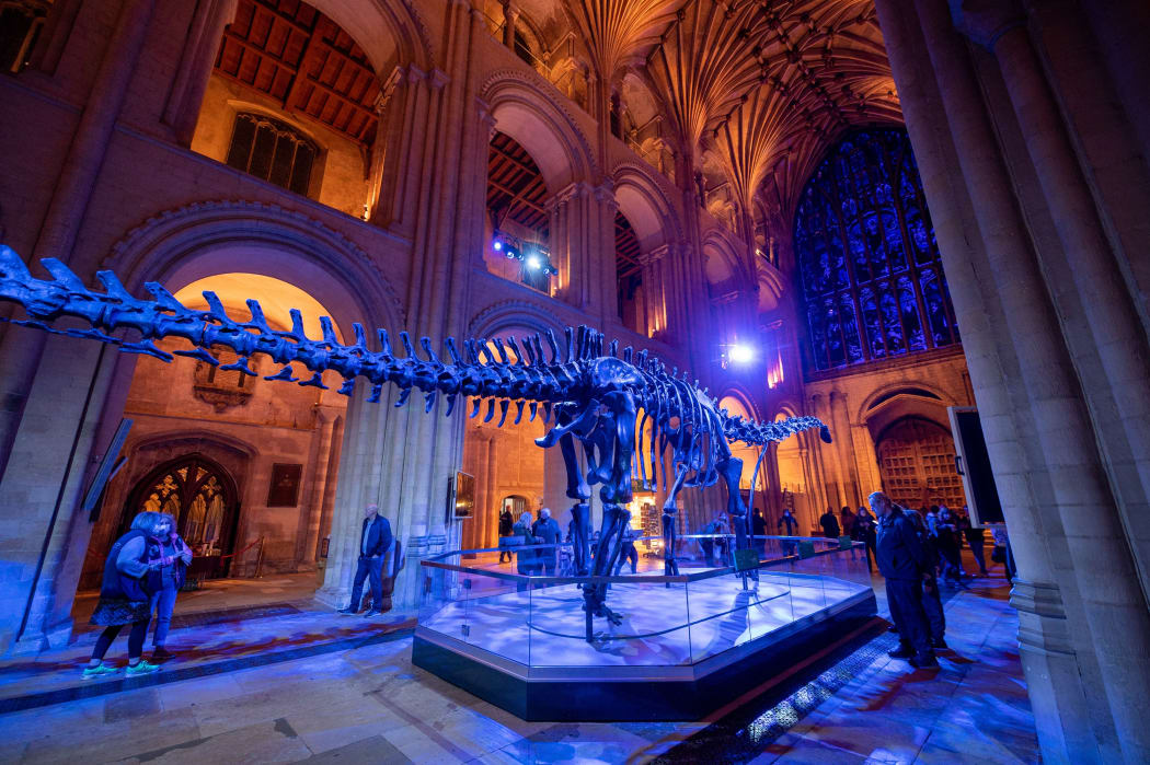 Dippy at Night in pictures | Dippy on Tour | Norwich Cathedral