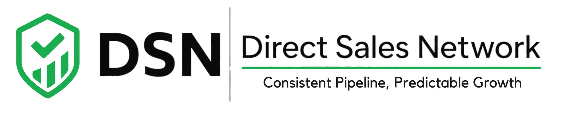 Direct Sales Network logo