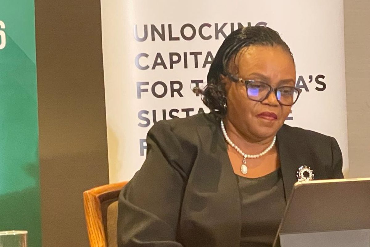 Tanzania to host Sh7 trillion investment summit linking global investors with major development projects