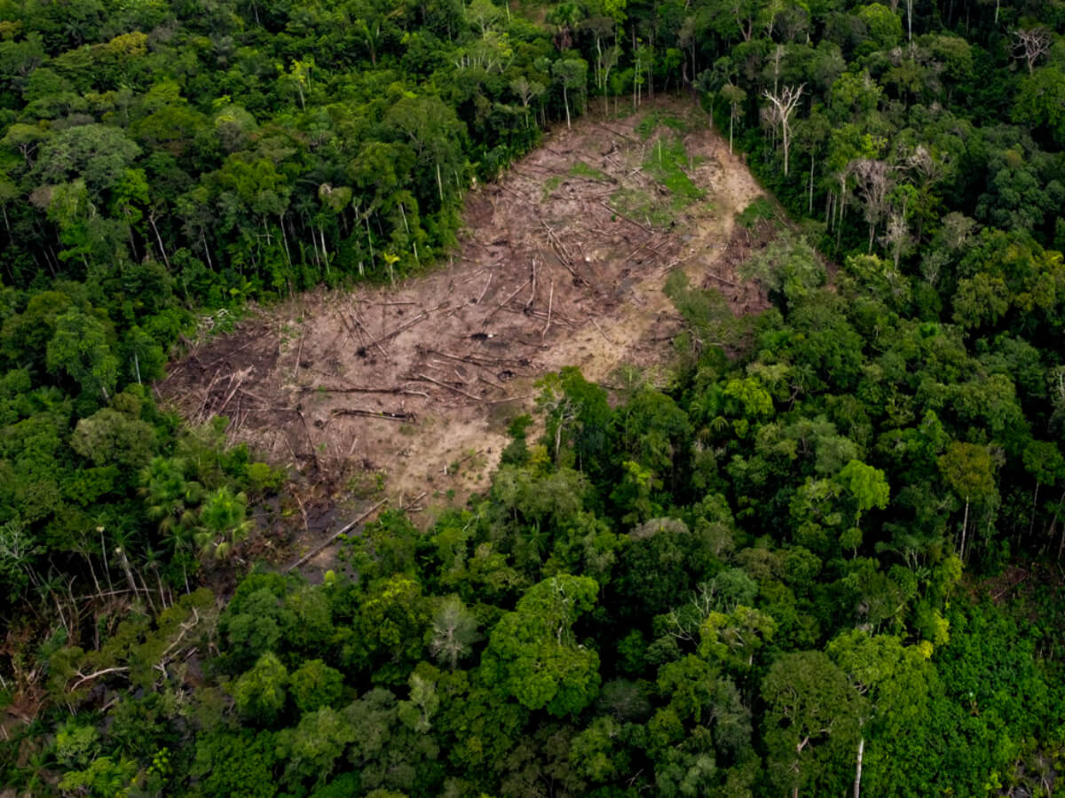 Deforestación en Brasil alcanza mínimo desde 2019 gracias a políticas de conservación
