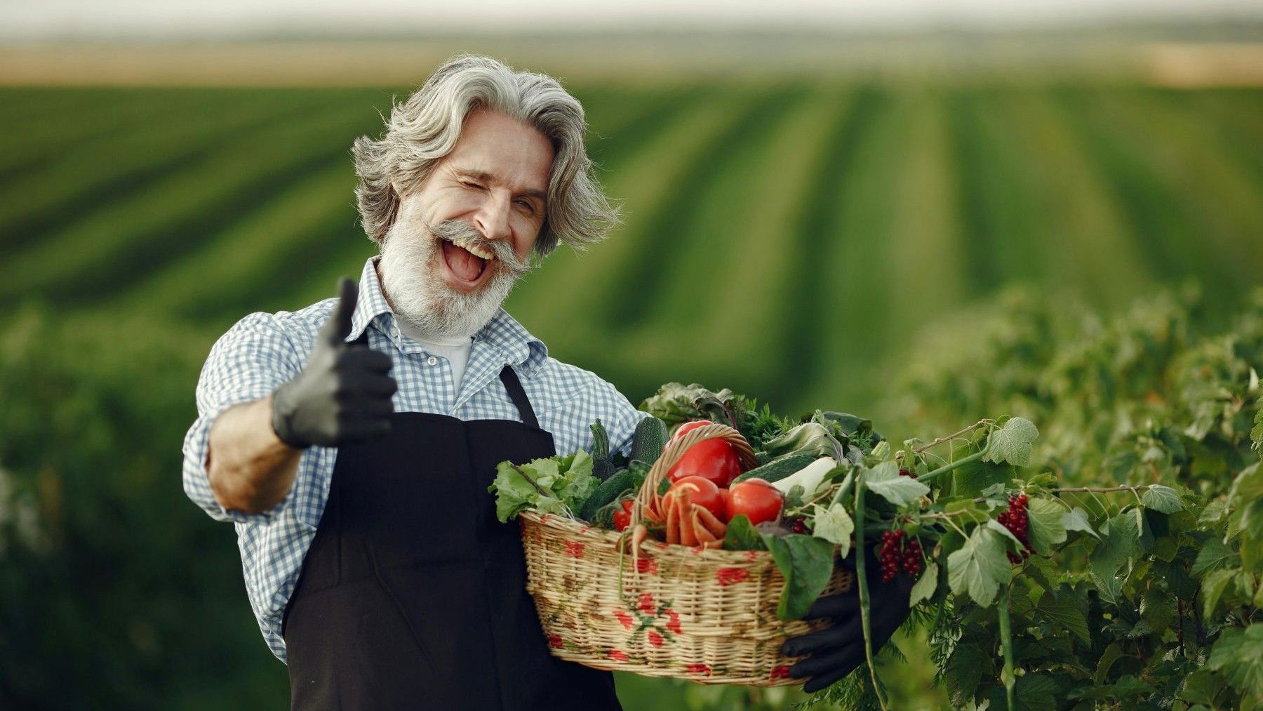Suiza celebrará un referéndum para impulsar la producción nacional y el consumo de alimentos vegetales