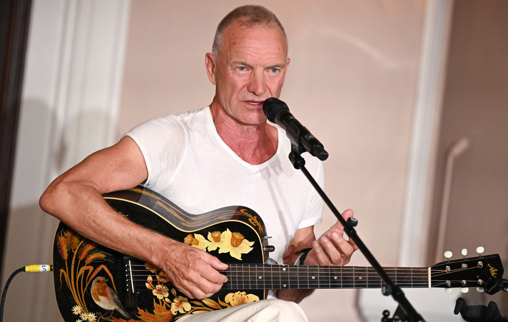 Sting suggests decline in manual labour may be influencing modern masculinity and social behaviour