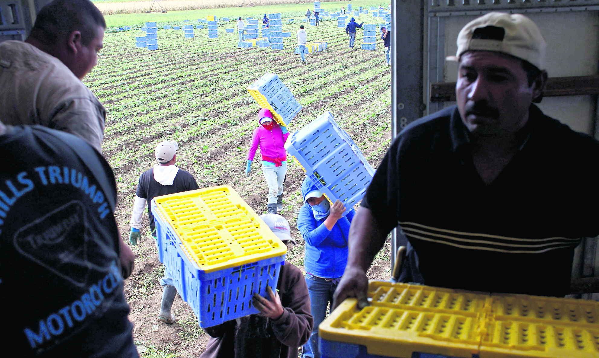 Migrantes guatemaltecos enfrentan cambios en regulaciones financieras y envío de remesas en Estados Unidos