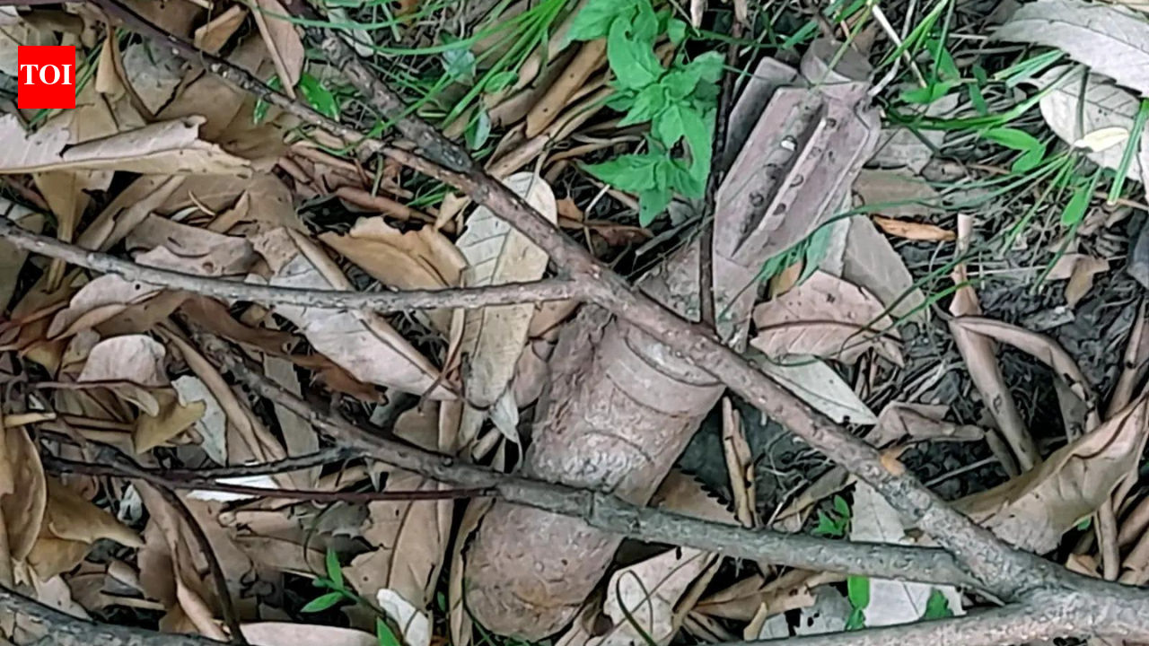 Old unexploded mortar shell recovered and safely neutralised in Poonch park