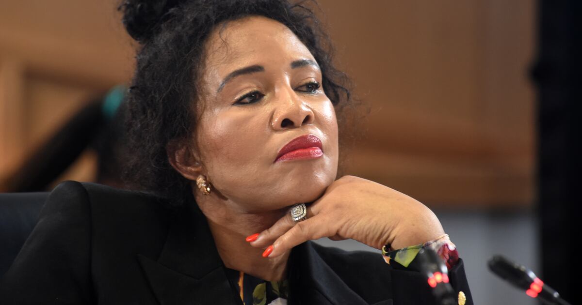Ze Nxumalo admits chartering luxury flight for Ekurhuleni city manager Imogen Mashazi