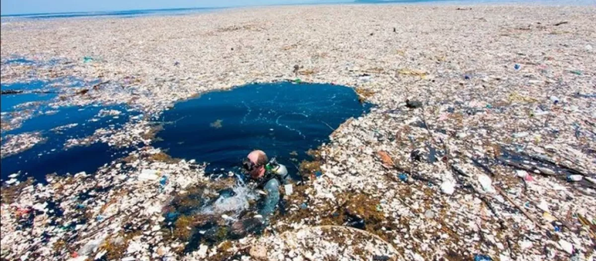 La acumulación de plásticos en el Pacífico Norte supera varias veces el tamaño de España