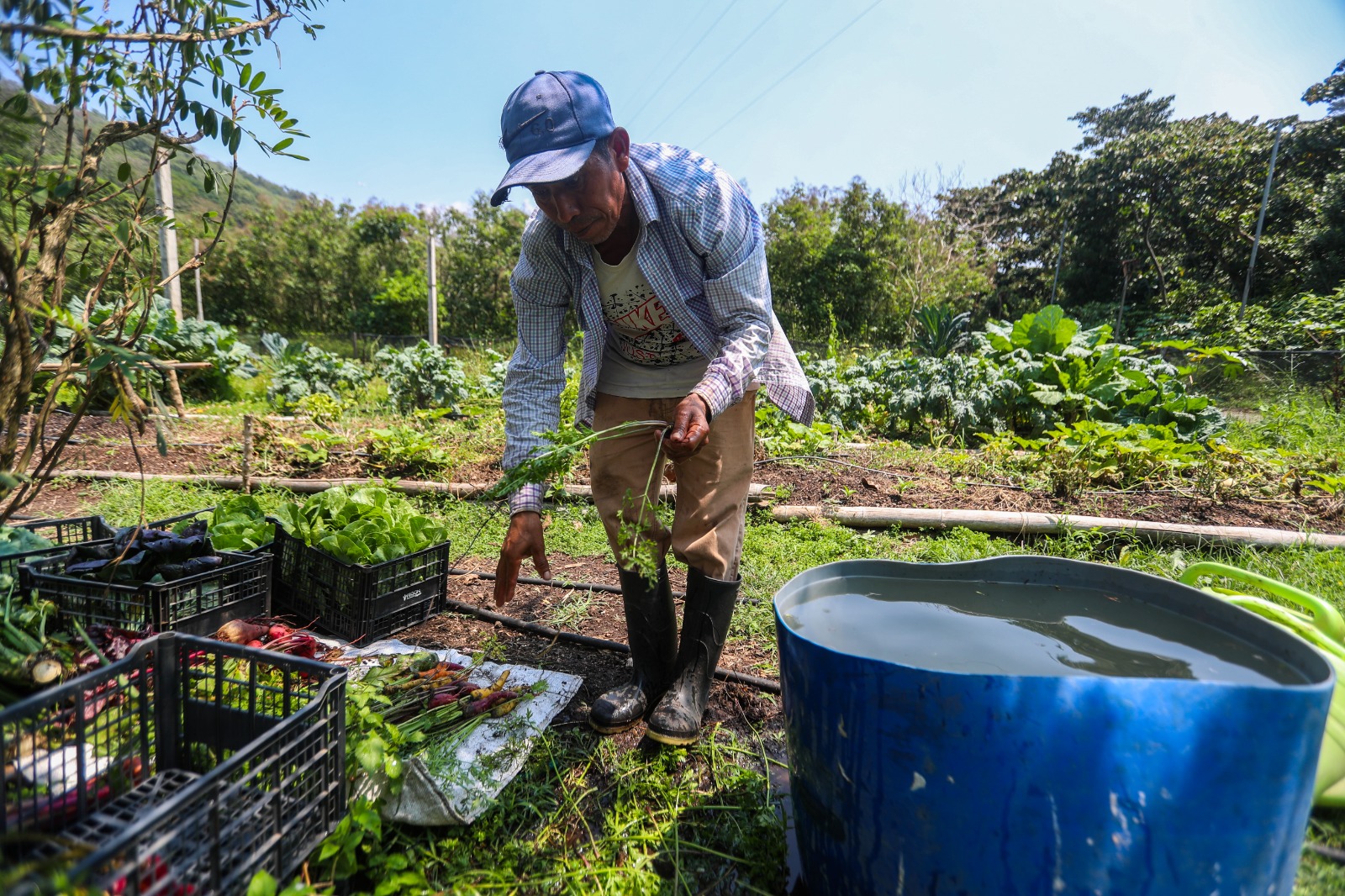 Mercado laboral en Guatemala se mantiene estable pese a riesgos de clima y remesas