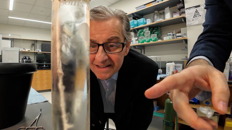 How a personal tragedy helped inspire breakthroughs in inflammation science and bioelectronic medicine