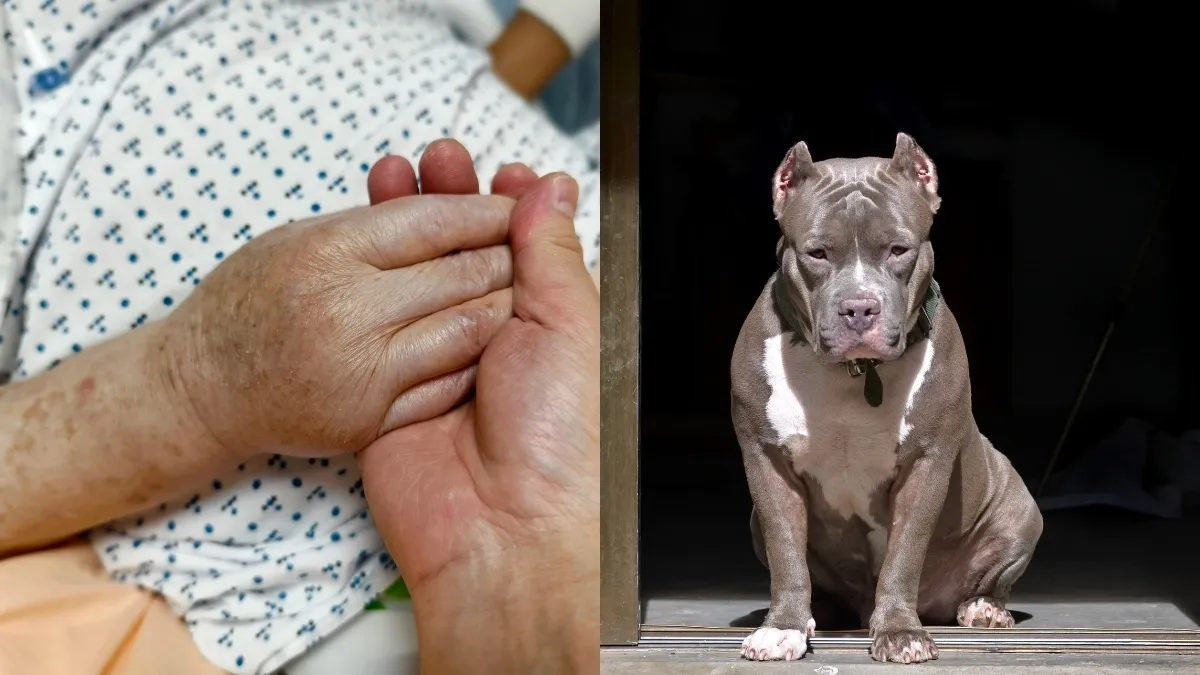 Mujer resulta gravemente herida tras ataque de dos perros en Montebello, Antioquia