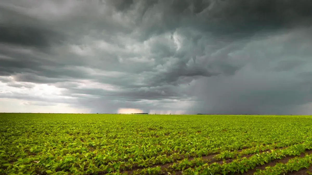 El impacto de El Niño en las reservas del BCRA y la estabilidad del dólar en Argentina