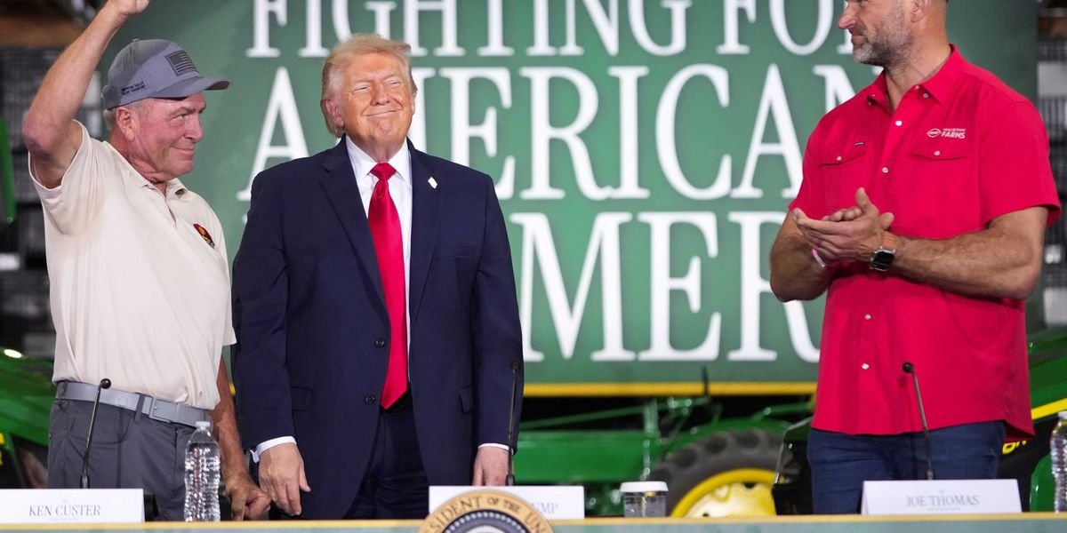 Critics Question Trump's Mental Sharpness After Wisconsin Remarks Referencing the Washington Monument