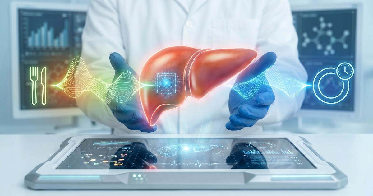 Identifican el receptor SUCNR1 en el hígado como clave en la regulación del metabolismo entre alimentación y ayuno