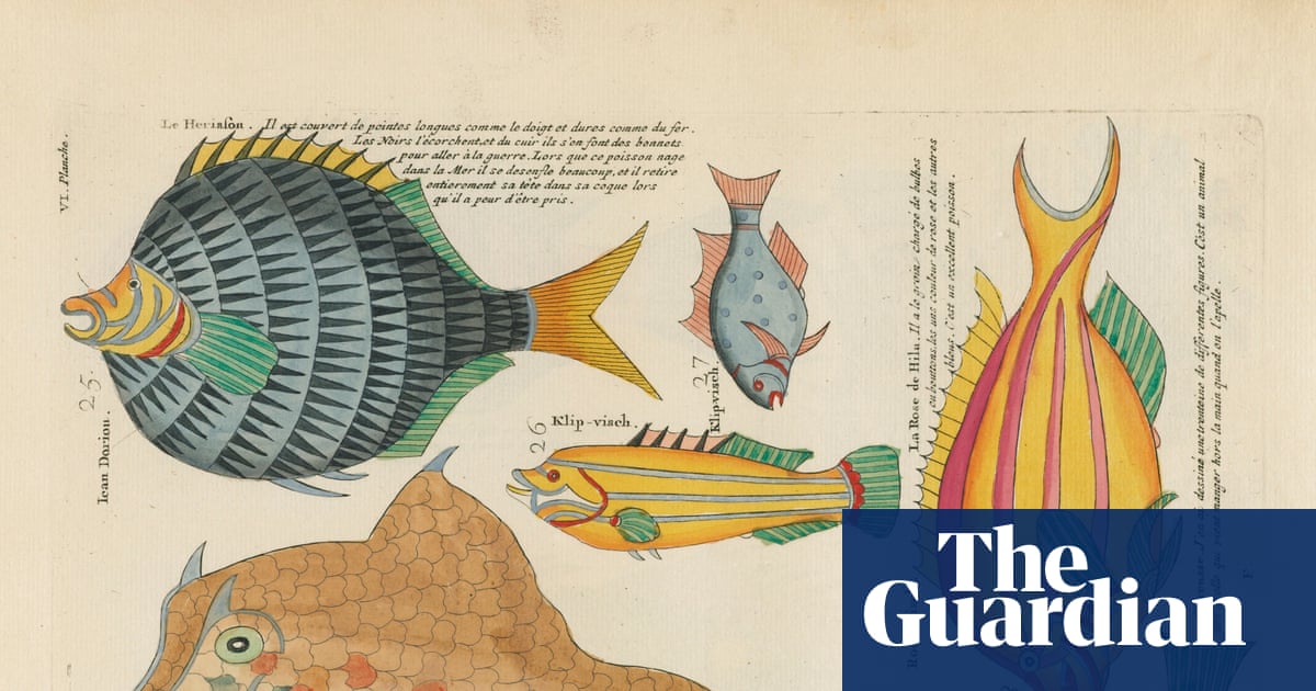 La Biblioteca del Patrimonio de la Biodiversidad afronta problemas de financiación tras digitalizar 64 millones de páginas científicas