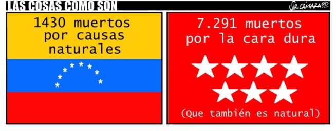 Viñeta de Sir Cámara: 'Pájaro de cuenta' (edición 0)