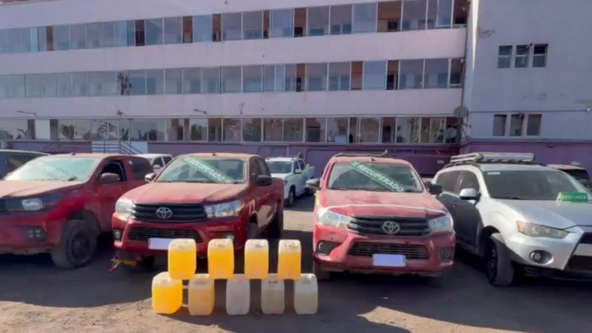 Desarticulan redes criminales dedicadas al robo y ocultamiento de vehículos en Antofagasta
