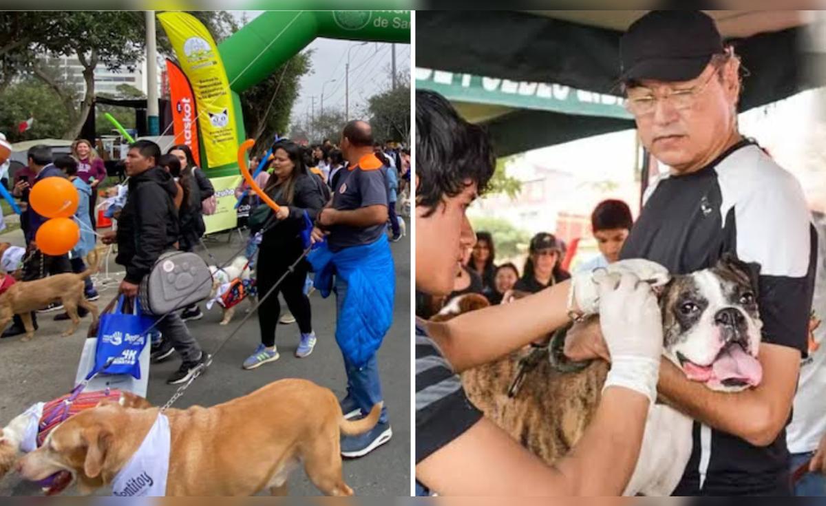 Surco realizará caminata solidaria Huellas 4K con servicios veterinarios gratuitos y campaña de esterilización